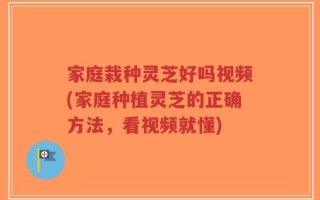 家庭栽种灵芝好吗视频(家庭种植灵芝的正确方法，看视频就懂)