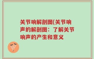 关节响解剖图(关节响声的解剖图：了解关节响声的产生和意义