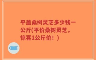 平盖桑树灵芝多少钱一公斤(平价桑树灵芝，惊喜1公斤价！)