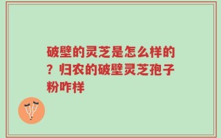 破壁的灵芝是怎么样的？归农的破壁灵芝孢子粉咋样