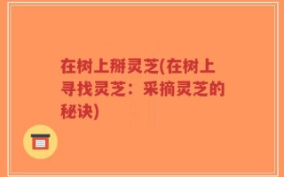 在树上掰灵芝(在树上寻找灵芝：采摘灵芝的秘诀)