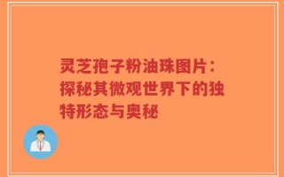 灵芝孢子粉油珠图片：探秘其微观世界下的独特形态与奥秘