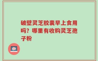 破壁灵芝胶囊早上食用吗？哪里有收购灵芝孢子粉