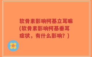 软骨素影响柯基立耳嘛(软骨素影响柯基垂耳症状，有什么影响？)