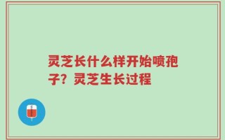 灵芝长什么样开始喷孢子？灵芝生长过程