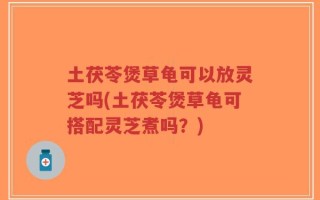 土茯苓煲草龟可以放灵芝吗(土茯苓煲草龟可搭配灵芝煮吗？)
