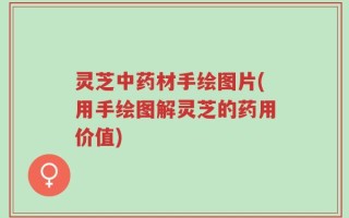 灵芝中药材手绘图片(用手绘图解灵芝的药用价值)