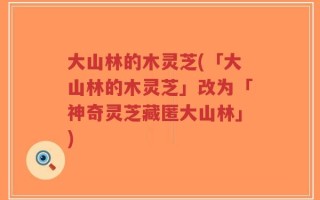 大山林的木灵芝(「大山林的木灵芝」改为「神奇灵芝藏匿大山林」)
