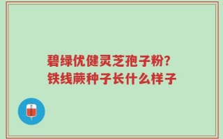 碧绿优健灵芝孢子粉？铁线蕨种子长什么样子