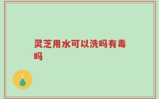 灵芝用水可以洗吗有毒吗