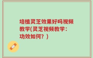 培植灵芝效果好吗视频教学(灵芝视频教学：功效如何？)