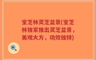 宝芝林灵芝盆景(宝芝林独家推出灵芝盆景，美观大方，功效独特)