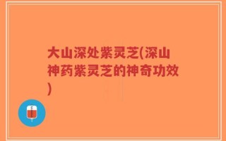 大山深处紫灵芝(深山神药紫灵芝的神奇功效)