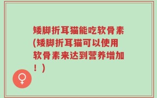 矮脚折耳猫能吃软骨素(矮脚折耳猫可以使用软骨素来达到营养增加！)