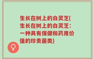 生长在树上的白灵芝(生长在树上的白灵芝：一种具有保健和药用价值的珍贵菌类)