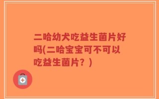 二哈幼犬吃益生菌片好吗(二哈宝宝可不可以吃益生菌片？)