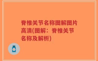 脊椎关节名称图解图片高清(图解：脊椎关节名称及解析)
