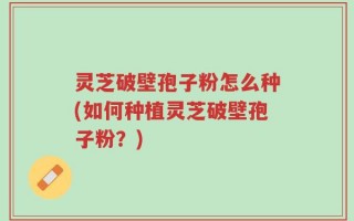灵芝破壁孢子粉怎么种(如何种植灵芝破壁孢子粉？)