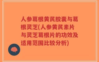 人参葛根黄芪胶囊与葛根灵芝(人参黄芪素片与灵芝葛根片的功效及适用范围比较分析)