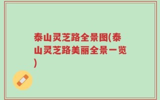 泰山灵芝路全景图(泰山灵芝路美丽全景一览)