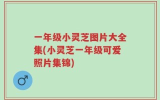 一年级小灵芝图片大全集(小灵芝一年级可爱照片集锦)