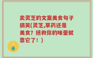 卖灵芝的文案美食句子搞笑(灵芝,草药还是美食？拯救你的味蕾就靠它了！)