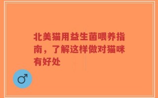 北美猫用益生菌喂养指南，了解这样做对猫咪有好处