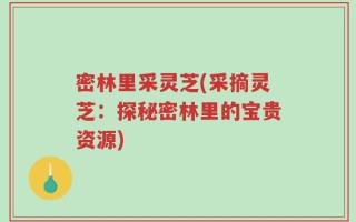 密林里采灵芝(采摘灵芝：探秘密林里的宝贵资源)