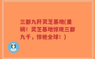 三都九阡灵芝基地(重磅！灵芝基地惊现三都九千，惊艳全球！)