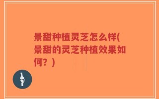 景甜种植灵芝怎么样(景甜的灵芝种植效果如何？)
