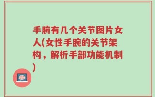 手腕有几个关节图片女人(女性手腕的关节架构，解析手部功能机制)