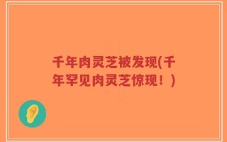 千年肉灵芝被发现(千年罕见肉灵芝惊现！)