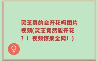灵芝真的会开花吗图片视频(灵芝竟然能开花？！视频惊呆全网！)
