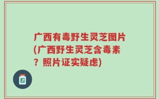 广西有毒野生灵芝图片(广西野生灵芝含毒素？照片证实疑虑)