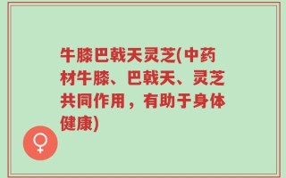 牛膝巴戟天灵芝(中药材牛膝、巴戟天、灵芝共同作用，有助于身体健康)