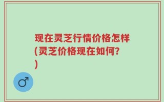 现在灵芝行情价格怎样(灵芝价格现在如何？)