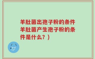 羊肚菌出孢子粉的条件羊肚菌产生孢子粉的条件是什么？)