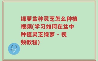绿萝盆种灵芝怎么种植视频(学习如何在盆中种植灵芝绿萝 - 视频教程)