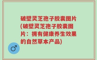 破壁灵芝孢子胶囊图片(破壁灵芝孢子胶囊图片：拥有健康养生效果的自然草本产品)