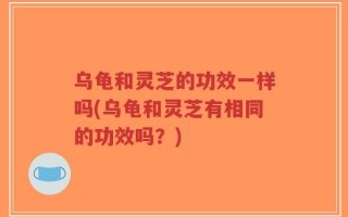 乌龟和灵芝的功效一样吗(乌龟和灵芝有相同的功效吗？)