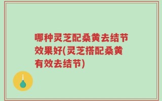 哪种灵芝配桑黄去结节效果好(灵芝搭配桑黄有效去结节)