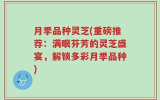 月季品种灵芝(重磅推荐：满眼芬芳的灵芝盛宴，解锁多彩月季品种)