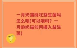 一月奶猫能吃益生菌吗怎么喂(可以喂吗？一月龄奶猫如何摄入益生菌)