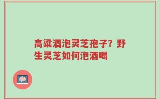 高粱酒泡灵芝孢子？野生灵芝如何泡酒喝