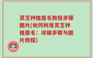灵芝种植眉毛教程步骤图片(如何利用灵芝种植眉毛：详细步骤与图片教程)