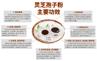 灵芝孢子粉和灵芝粉作用区别有哪些？