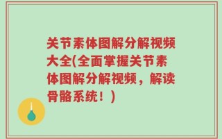 关节素体图解分解视频大全(全面掌握关节素体图解分解视频，解读骨骼系统！)