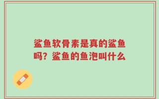 鲨鱼软骨素是真的鲨鱼吗？鲨鱼的鱼泡叫什么