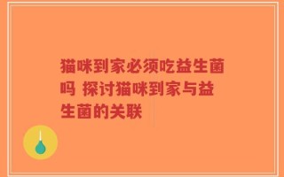 猫咪到家必须吃益生菌吗 探讨猫咪到家与益生菌的关联