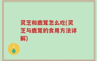灵芝和鹿茸怎么吃(灵芝与鹿茸的食用方法详解)